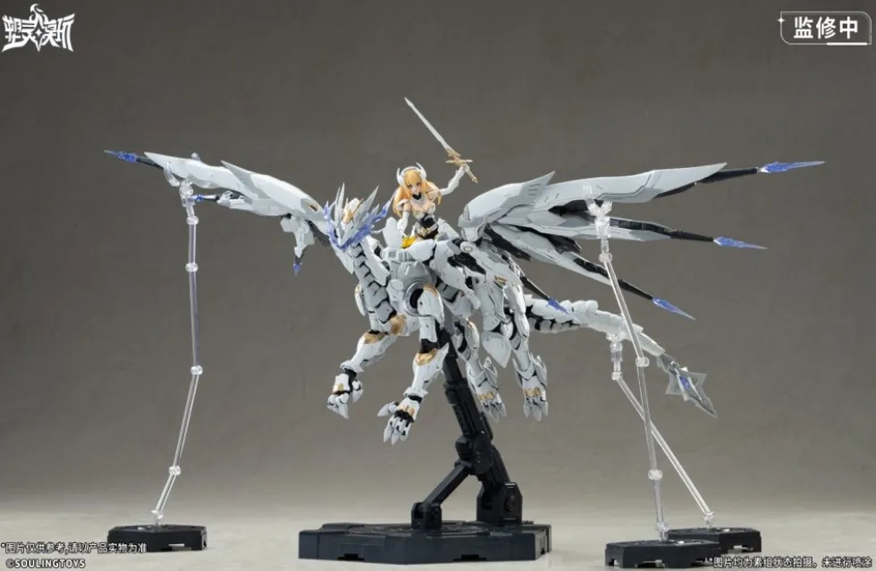 1/12 Daytime Meteor