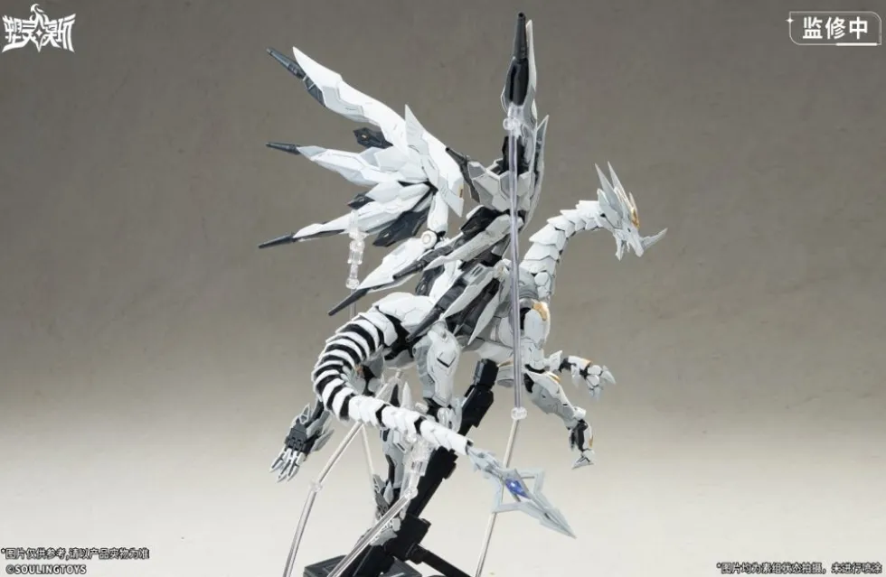 1/12 Daytime Meteor