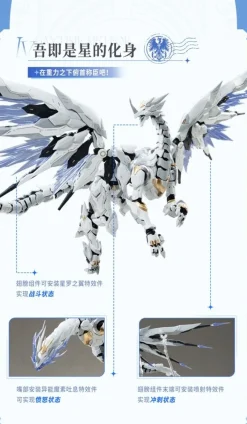 1/12 Daytime Meteor