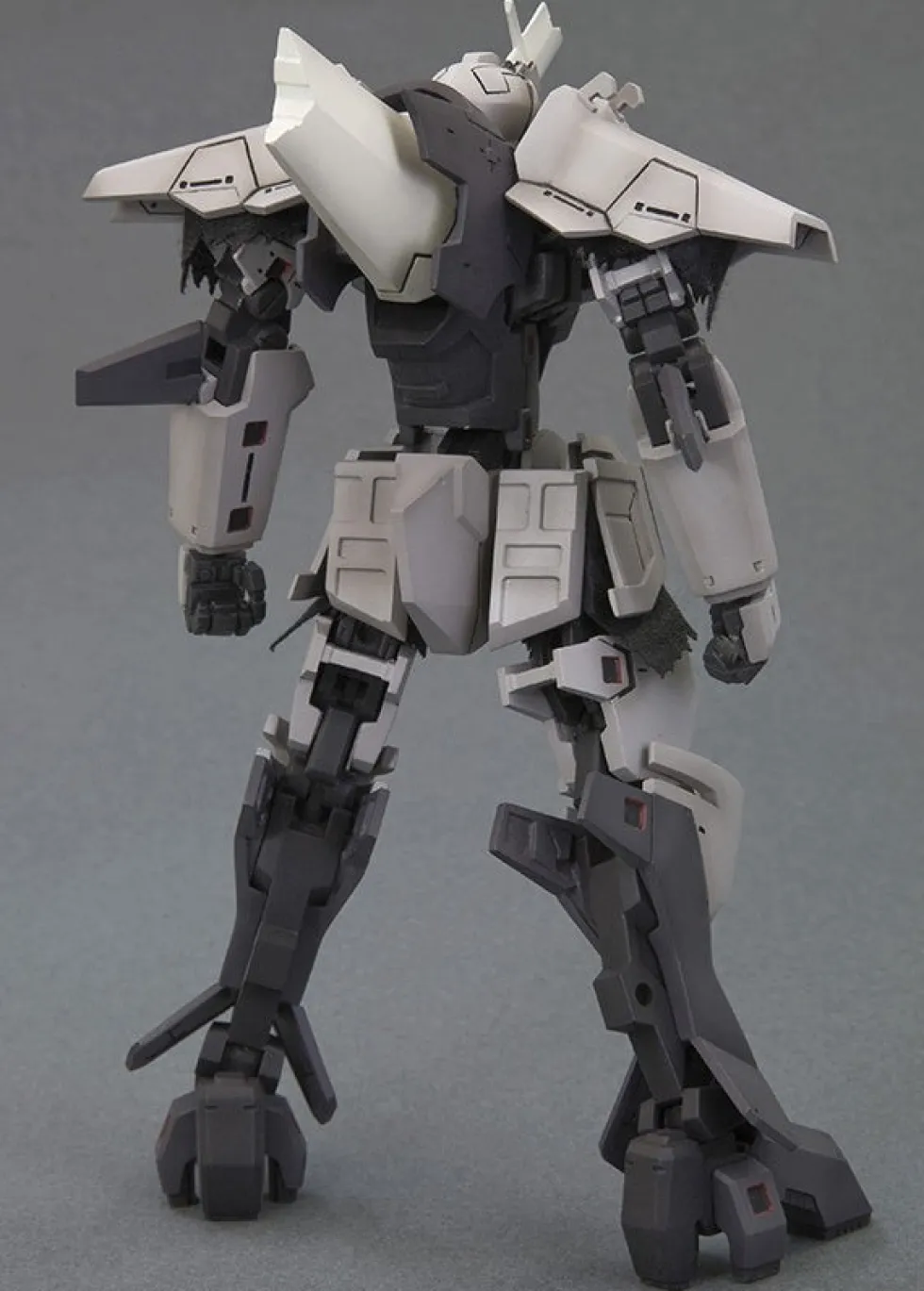 Delphine (Renewal Ver.)