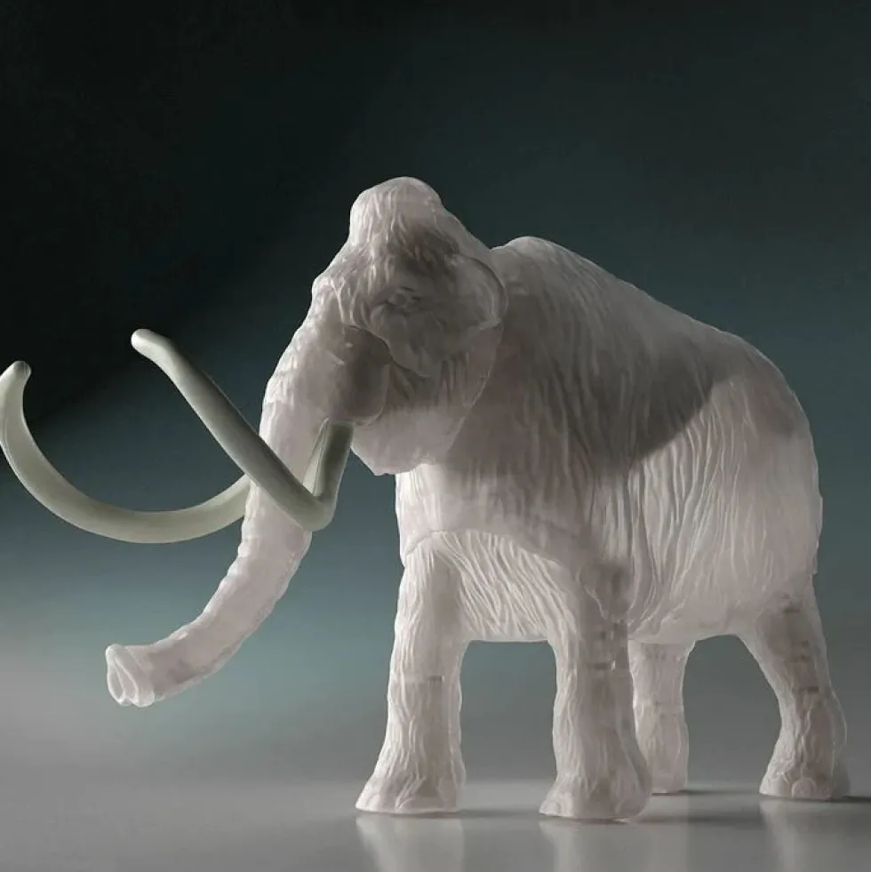 Exploring Lab Nature Mammoth
