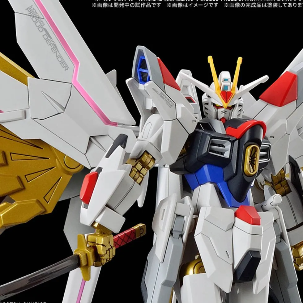 GD-142 HG SEED Freedom Multiuse 2