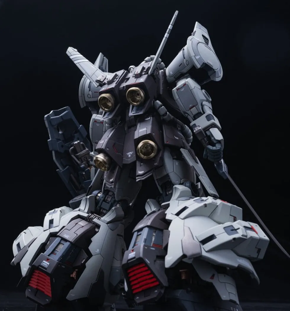 GMD 1/100 MS-07H-8 Gouf Flight Type GK DX