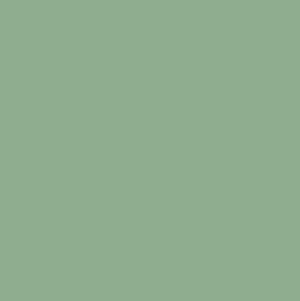 Gundam Color UG06 MS Green 10ml