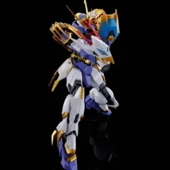 HG Amplified IMGN Kujinmaru