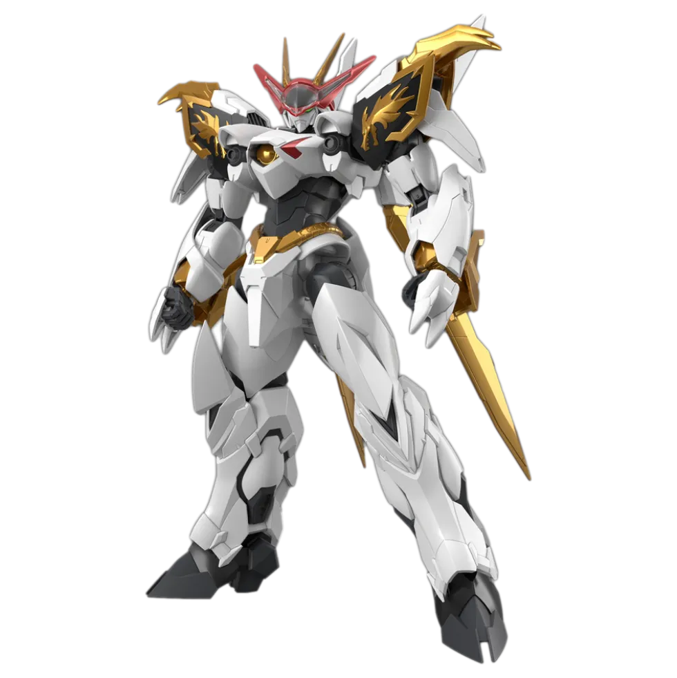 HG Amplified IMGN Ryuoumaru