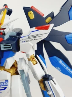 HGCE Strike Freedom