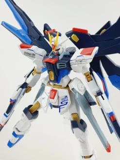 HGCE Strike Freedom