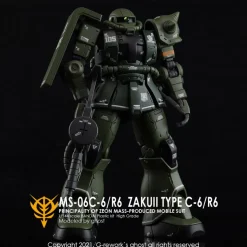 HGGTO MS-06C Zaku II Decals