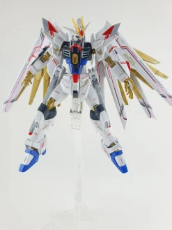 HG Mighty Strike Freedom
