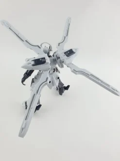 HG Schwarzette
