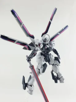 HG Schwarzette