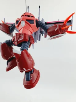 HG SEED Z'Gok