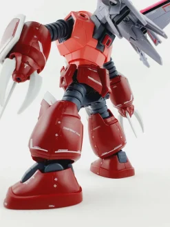 HG SEED Z'Gok