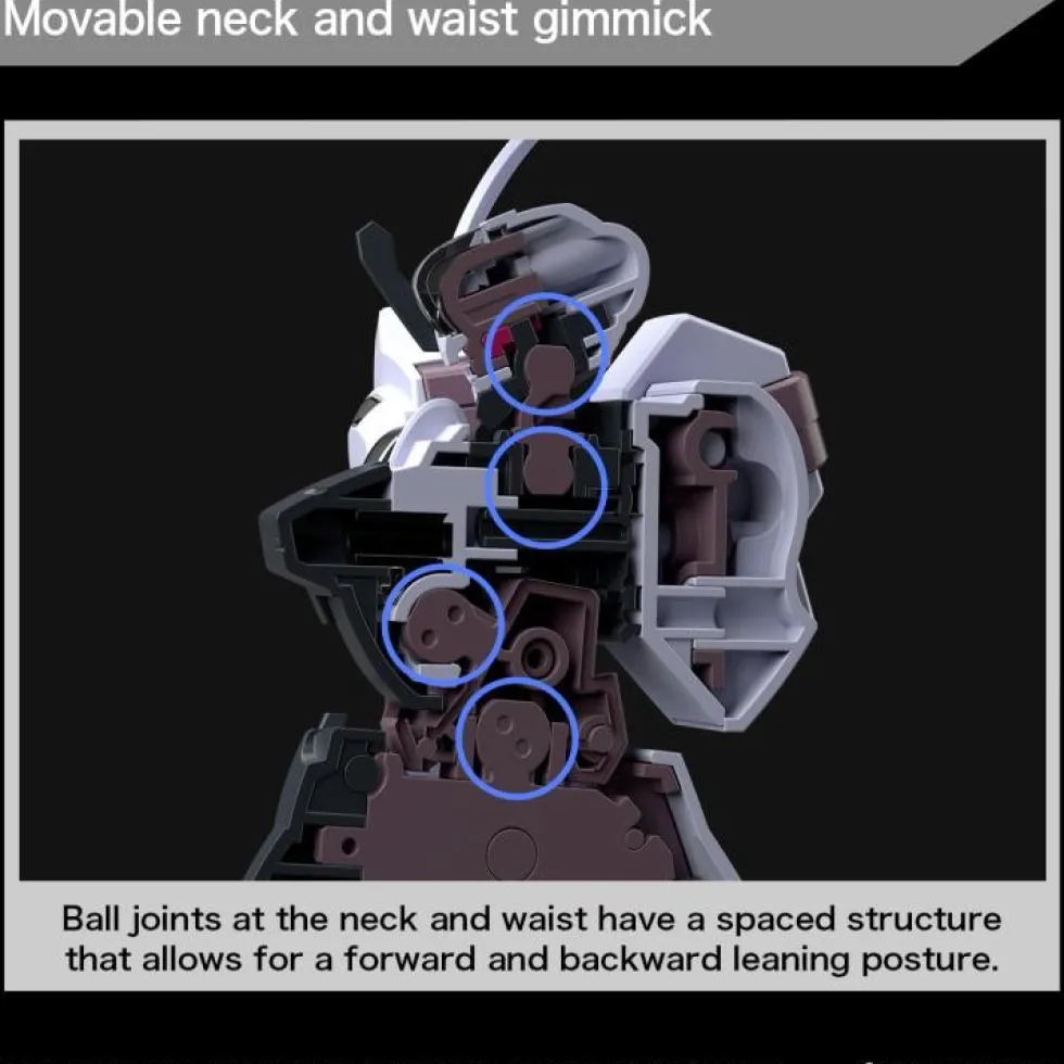 HGWFM 25 Schwarzette