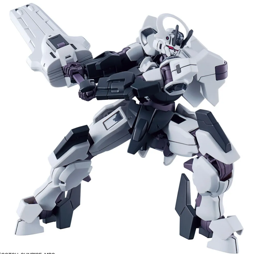HGWFM 25 Schwarzette