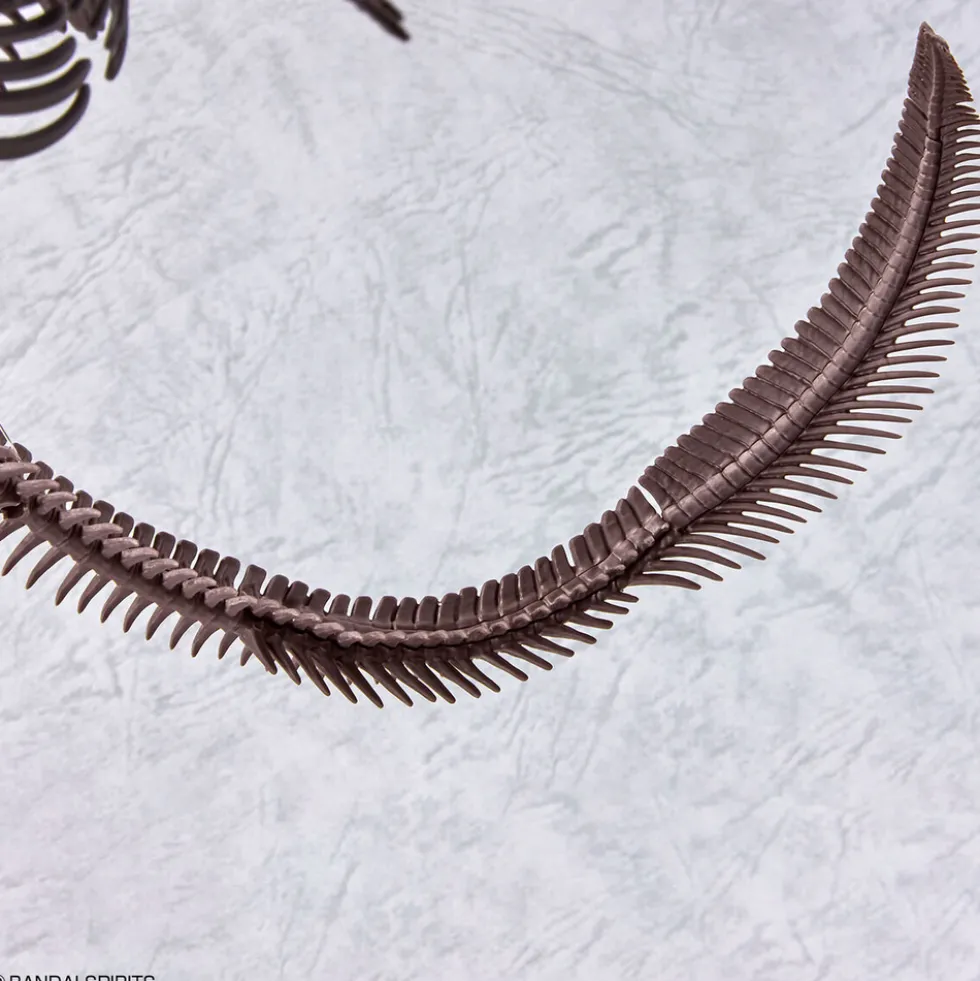 1/32 Imaginary Skeleton Mosasaurus
