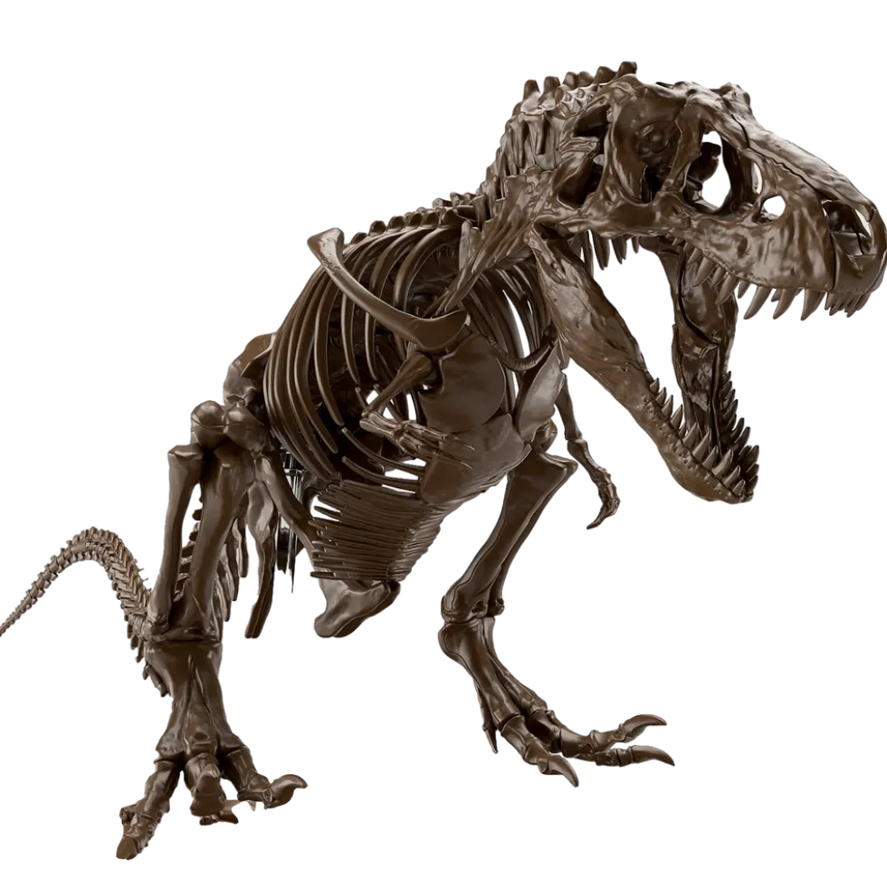 1/32 Imaginary Skeleton Tyrannosaurus