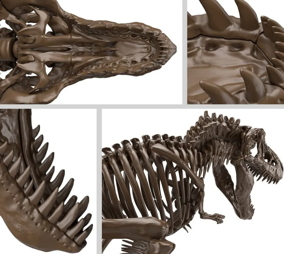 1/32 Imaginary Skeleton Tyrannosaurus