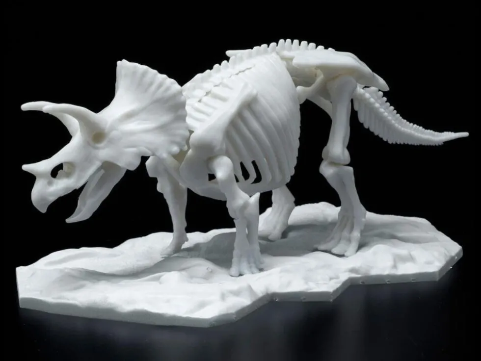 Limex Skeleton Triceratops