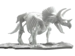 Limex Skeleton Triceratops
