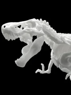 Limex Skeleton Tyrannosaurus Rex