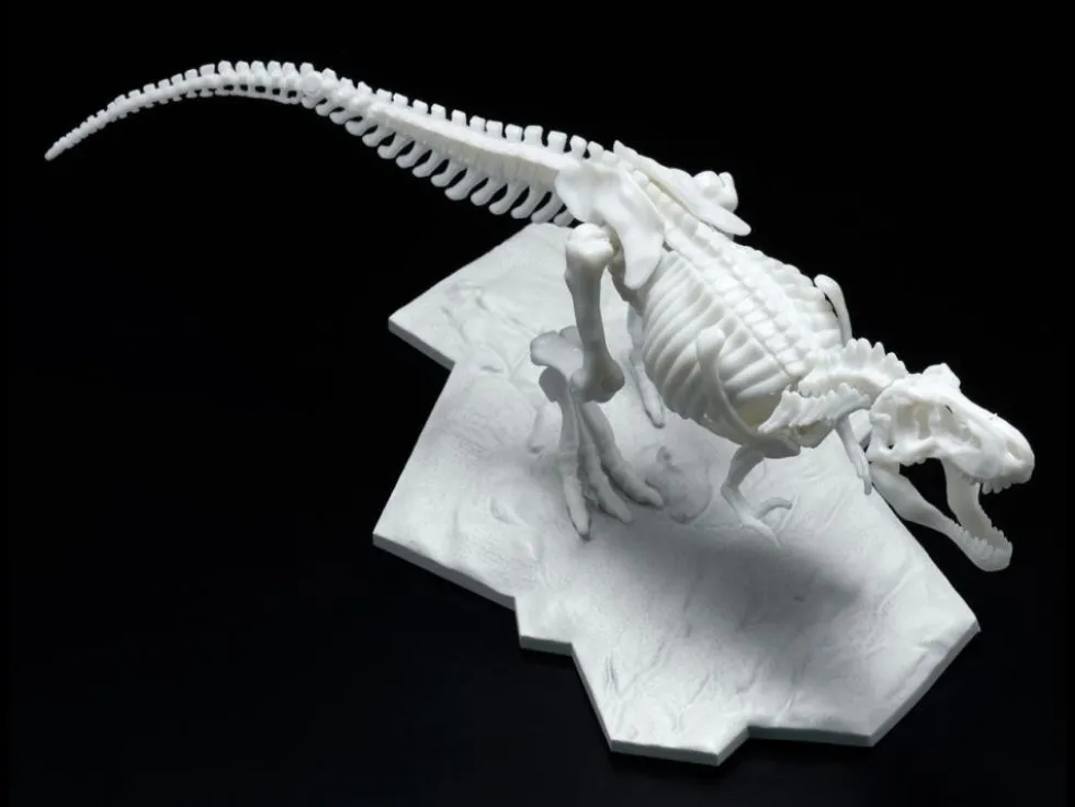 Limex Skeleton Tyrannosaurus Rex