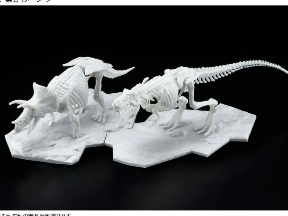 Limex Skeleton Tyrannosaurus Rex