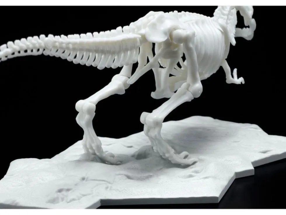Limex Skeleton Tyrannosaurus Rex