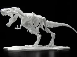 Limex Skeleton Tyrannosaurus Rex
