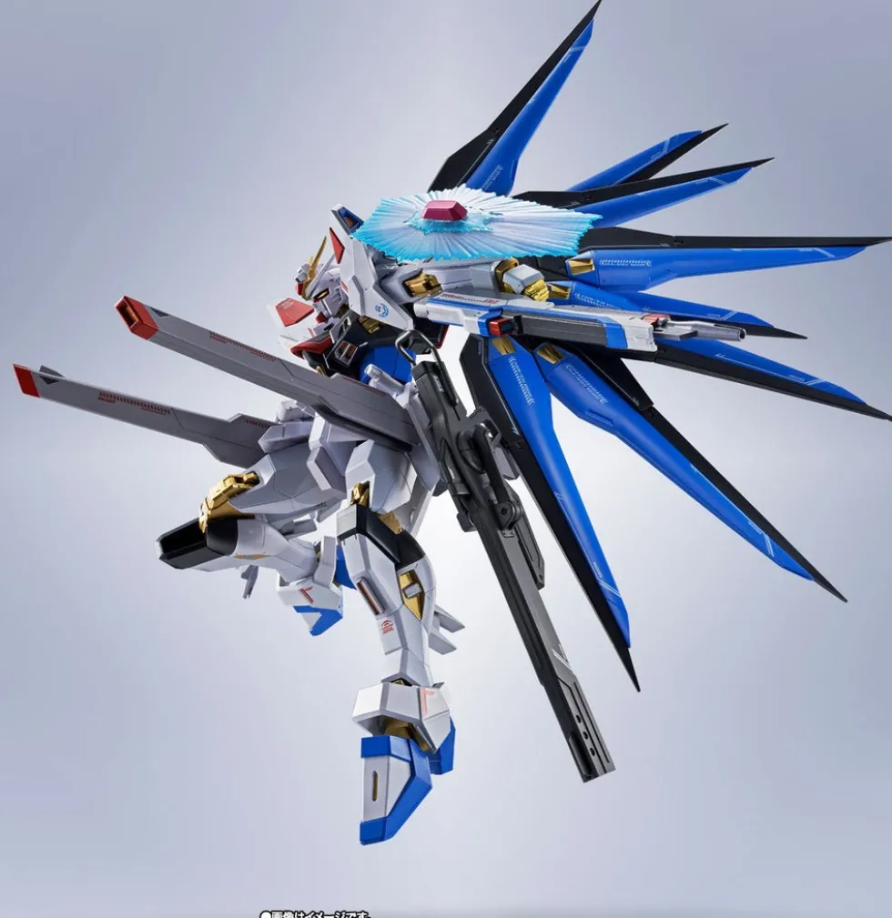 Metal Robot Spirits Strike Freedom Gundam Type Ⅱ
