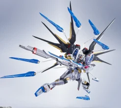 Metal Robot Spirits Strike Freedom Gundam (Re: Coordinate)