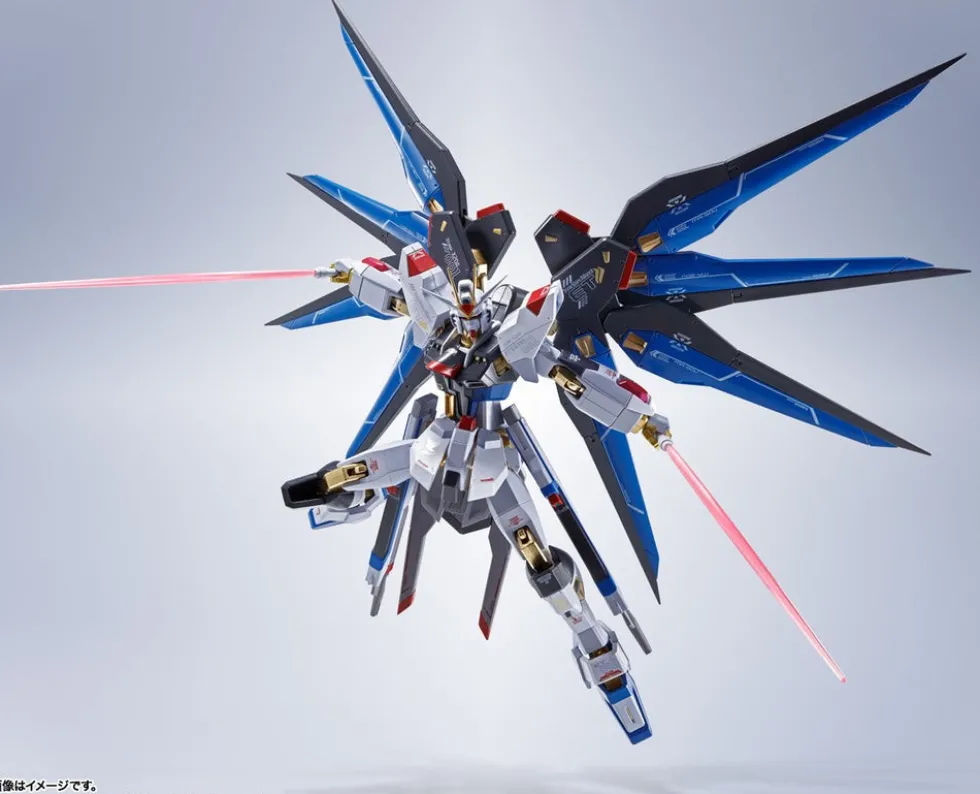 Metal Robot Spirits Strike Freedom Gundam (Re: Coordinate)