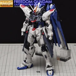 MG Freedom Gundam (Ver. 2.0) Decals