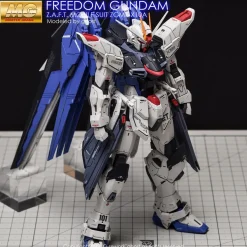 MG Freedom Gundam (Ver. 2.0) Decals
