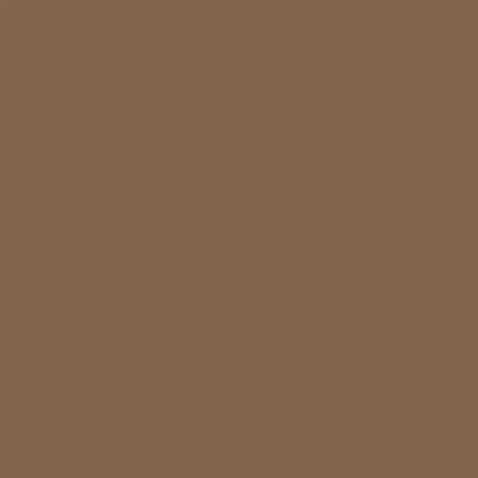 Mr. Color C526 Brown 10ml