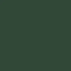 Mr. Color C38 Flat Olive Drab(2) 10ml