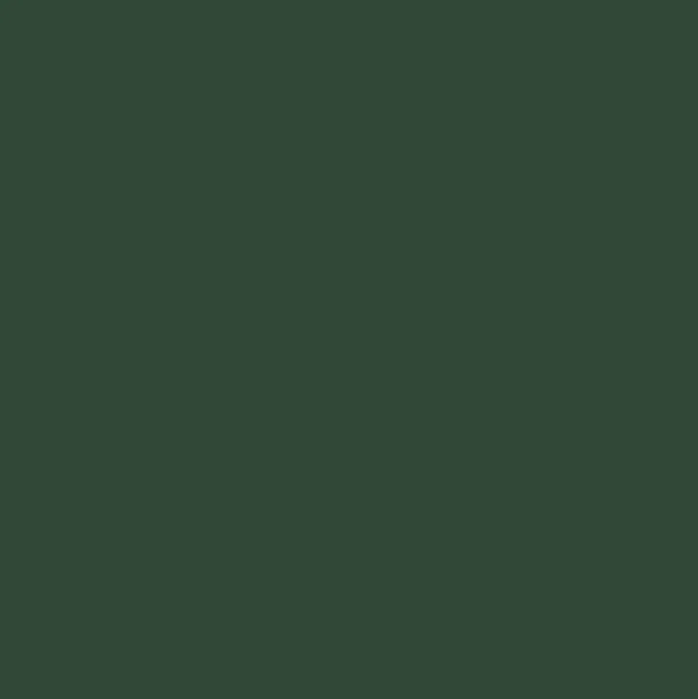 Mr. Color C38 Flat Olive Drab(2) 10ml