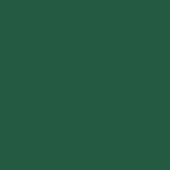 Mr. Color C136 Flat Russian Green (2) 10ml