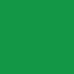 Mr. Color C66 Gloss Bright Green 10ml