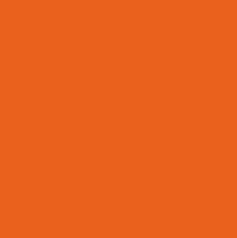 Mr. Color C49 Gloss Clear Orange 10ml