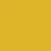 Mr. Color C9 Gloss Metallic Gold 10ml