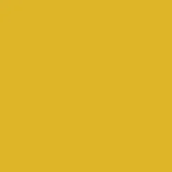 Mr. Color C9 Gloss Metallic Gold 10ml