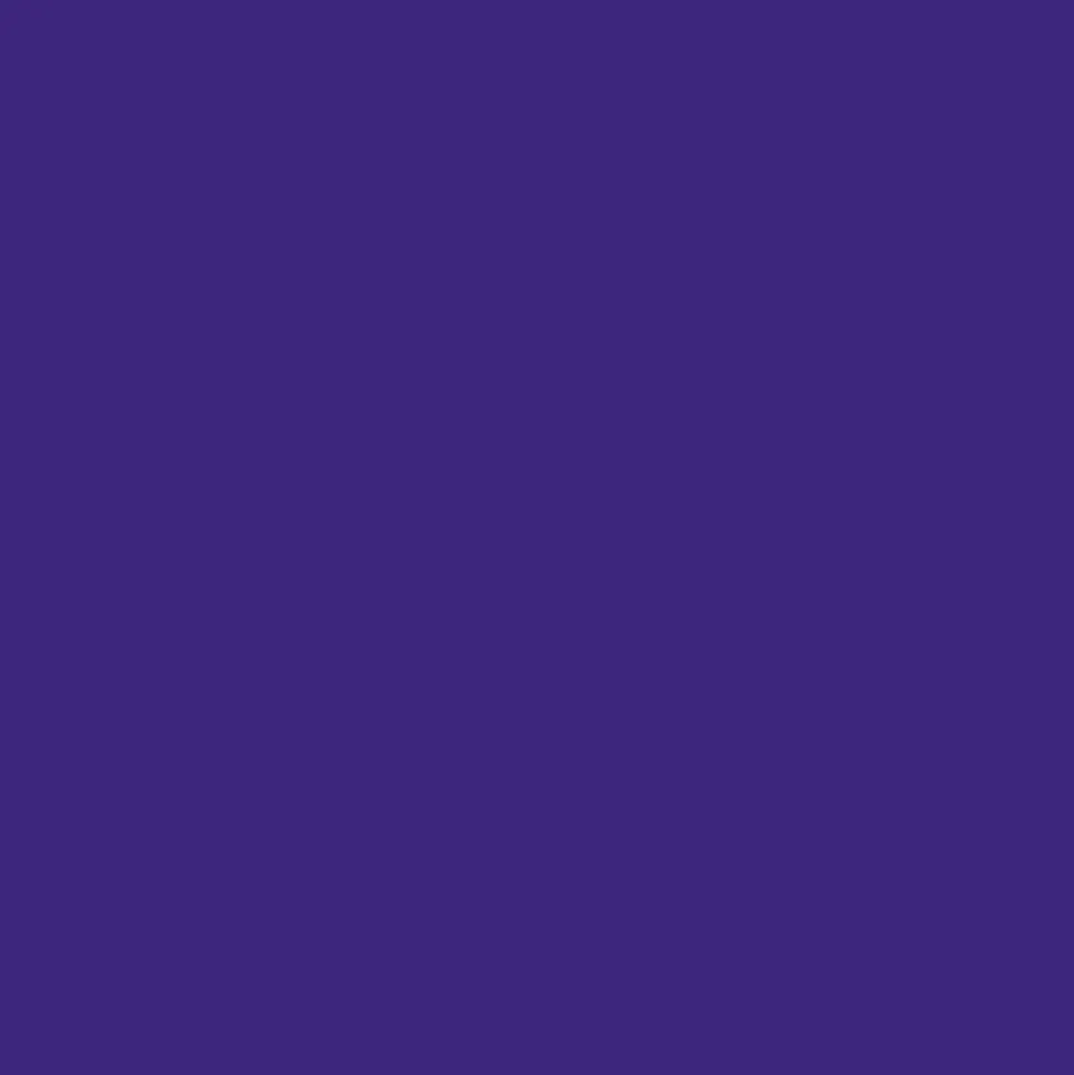 Mr. Color C67 Gloss Purple 10ml