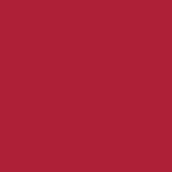 Mr. Color C100 Gloss Wine Red 10ml