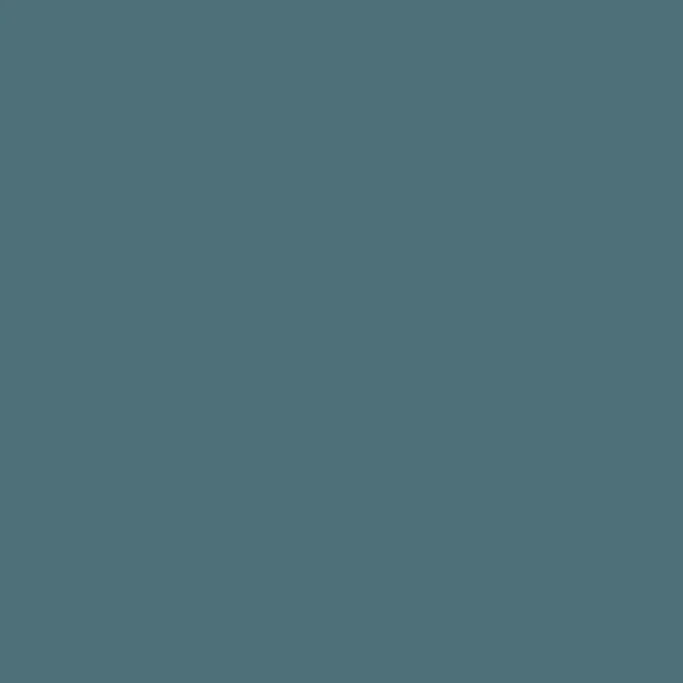 Mr. Color C514 Gray Grau 10ml