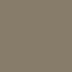 Mr. Color C529 IDF Gray 2 1981 Golan 10ml