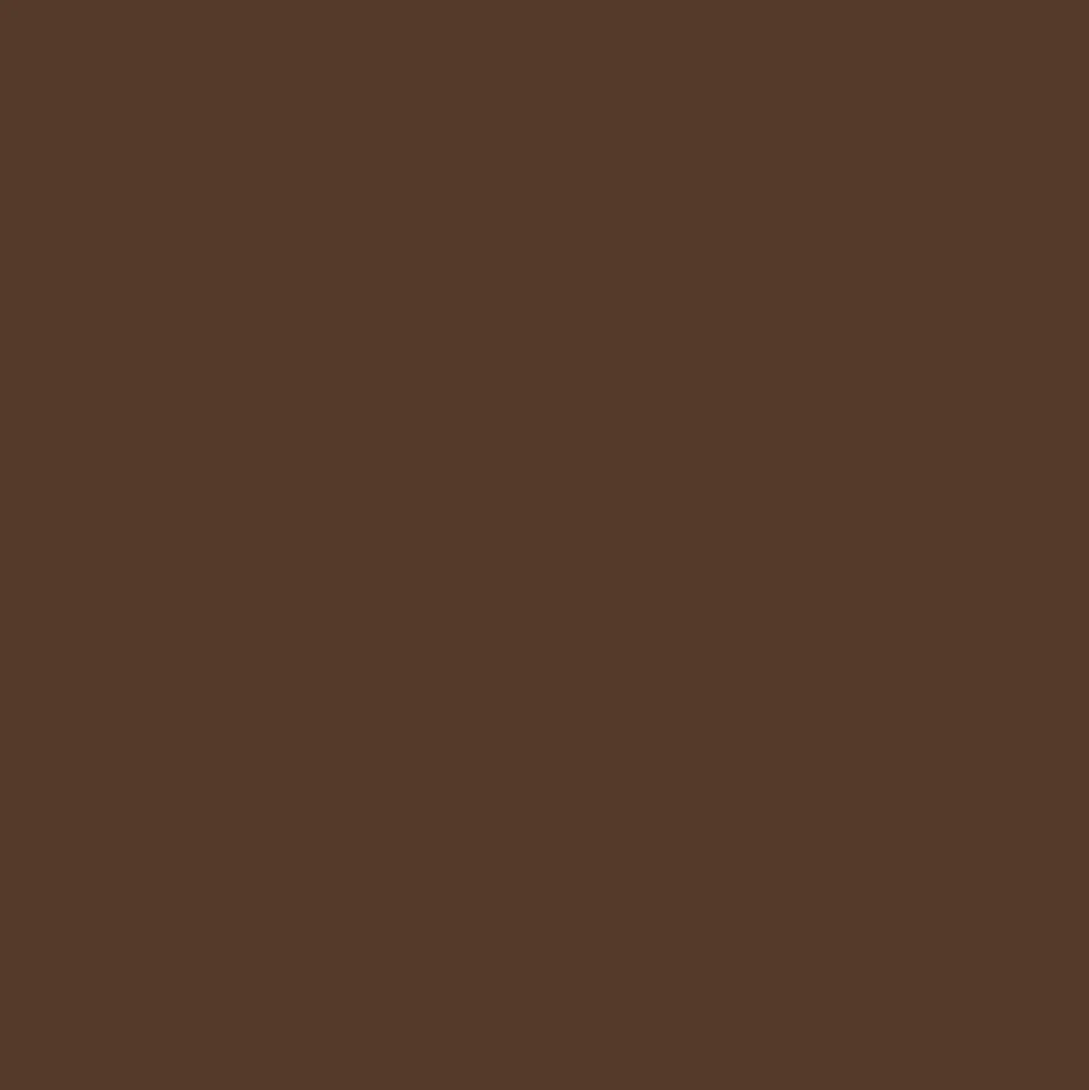 Mr. Color C520 Lederbraun 10ml