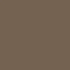 Mr. Color C310 Semi-Gloss Brown FS30219 10ml