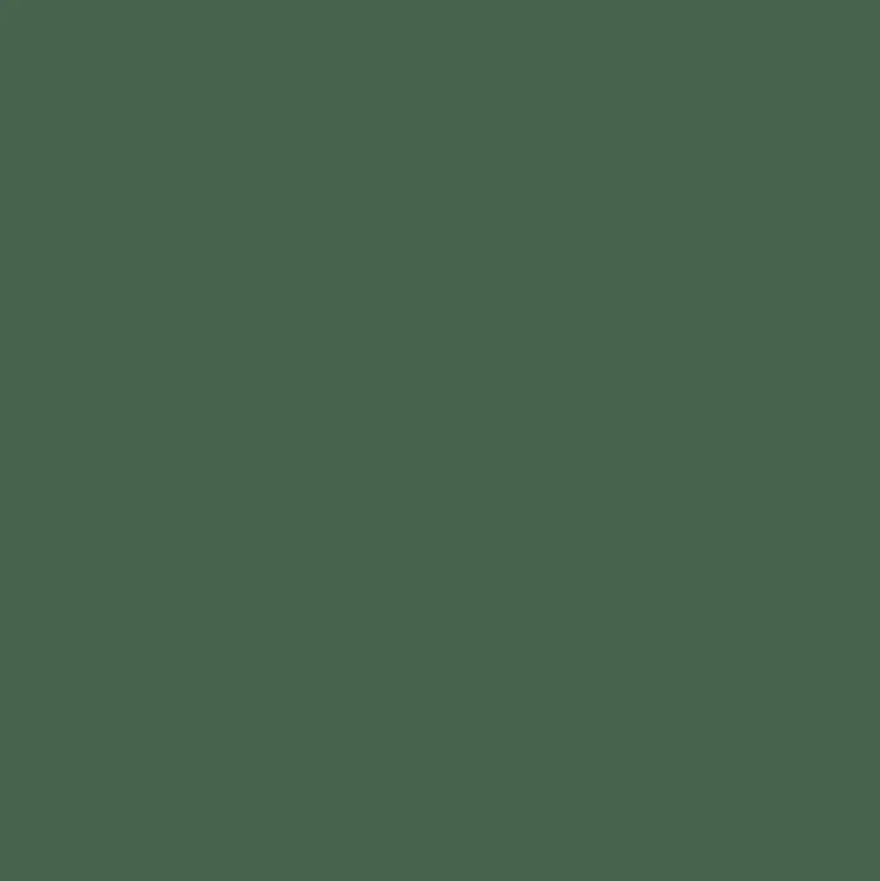 Mr. Color C129 Semi-Gloss Dark Green (Nakajima) 10ml